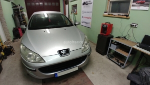 Peugeot 407 2007