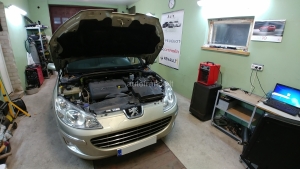 Peugeot 407 2008