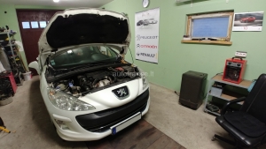 Peugeot 308 2009