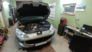 Peugeot 407 2007